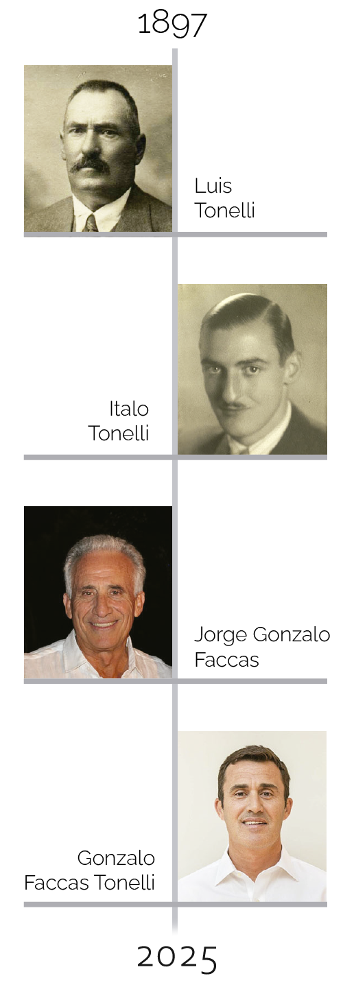 Historia Don Gonzalo